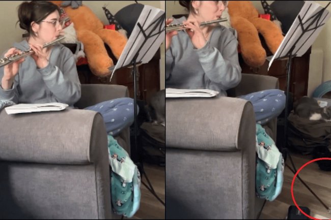 Woman and Flute: A Hilarious Cat Interruption