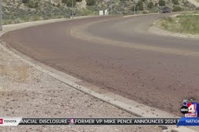 Invasion of Crickets Hits Small Town in Nevada