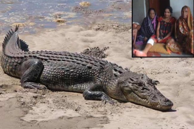 Tragic Crocodile Attack in Kendrapara, Odisha Causes Outrage