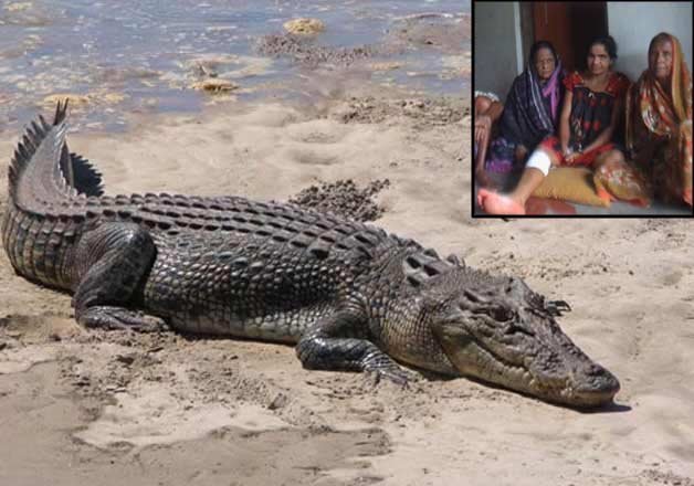 Tragic Crocodile Attack in Kendrapara, Odisha Causes Outrage