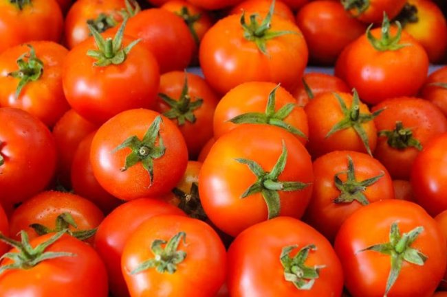 Tomato Growers Outperforming Large Corporations in Profit Margins