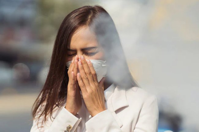 Exploring Air Pollution's Effects on Your Skin: Insights from Experts